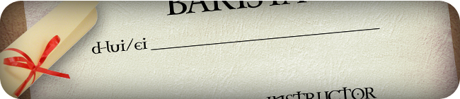 Diplome Personalizate